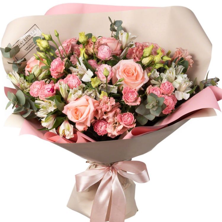 Удачный от 6 900 руб.